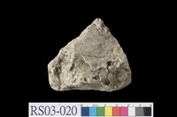 藏品(粉砂岩)的圖片